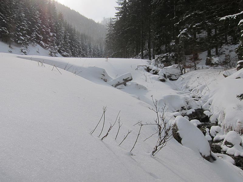 Kuhschneeberg